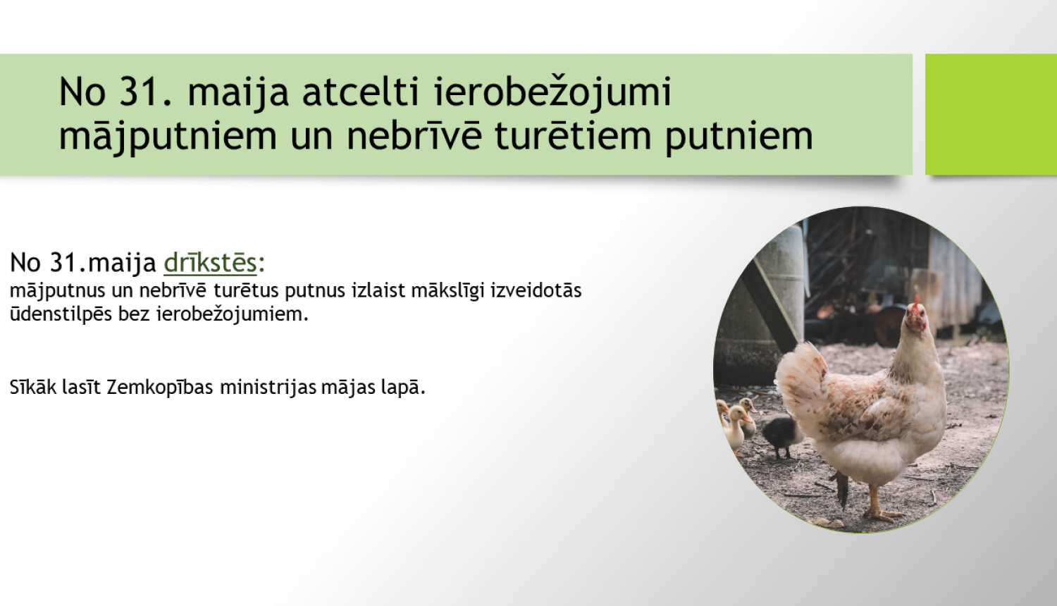 Atcelta prasība mājputnus turēt norobežotā vietā